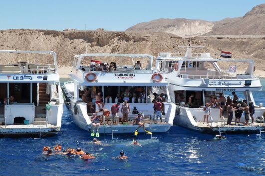 Red Sea Cruise
