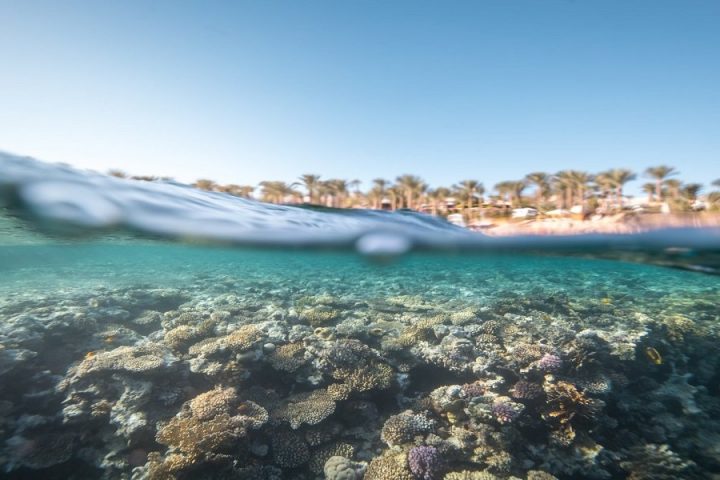 Sharm ElSheikh Sea